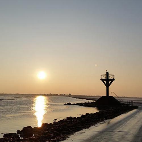 Ile de Noirmoutier  ( Vendée )
