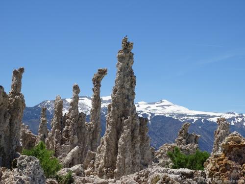 LES ETRANGES TUFA DU LAC MONO