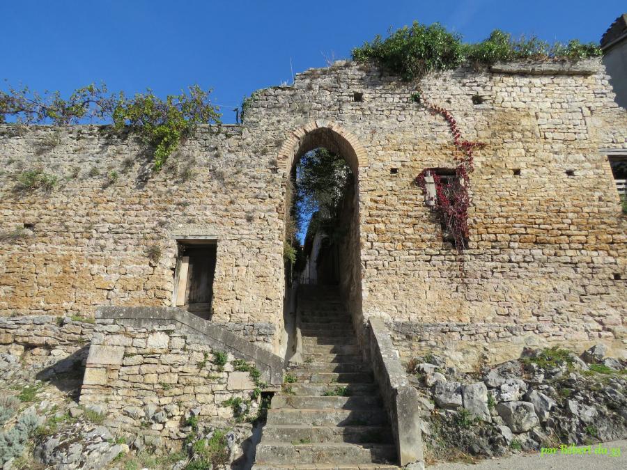 Montricoux (82)