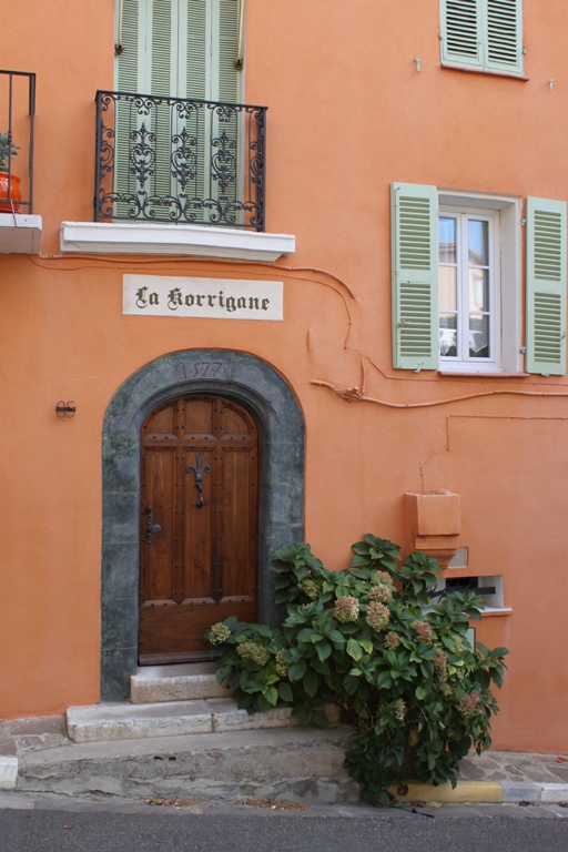 Bormes les Mimosas (4)-copie-1