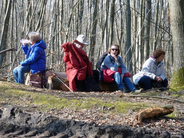 Ville d'Avray, Chaville et la forêt de Fausses Reposes