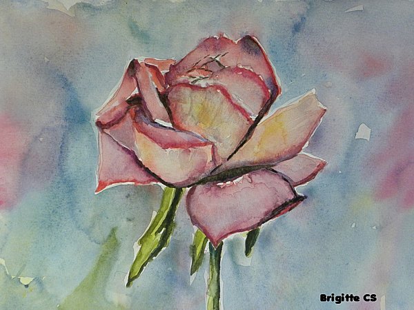 rose-2.jpg