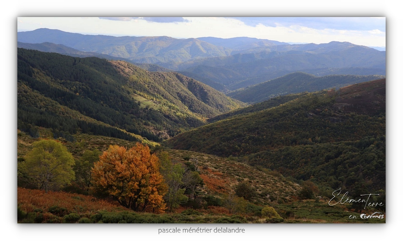 Vivre en Cévennes...