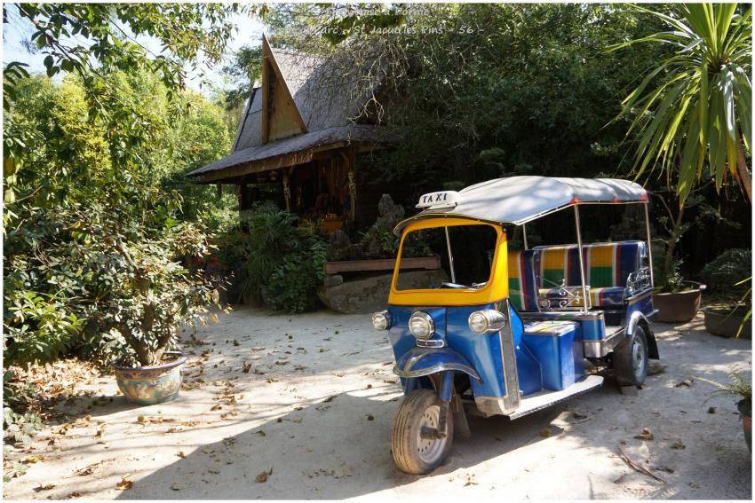 Tropical Parc St Jacut les Pins - 56 -