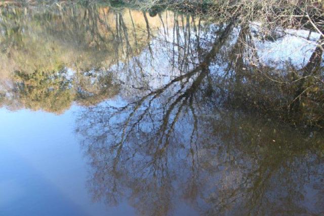 jardin à St Urbain 004