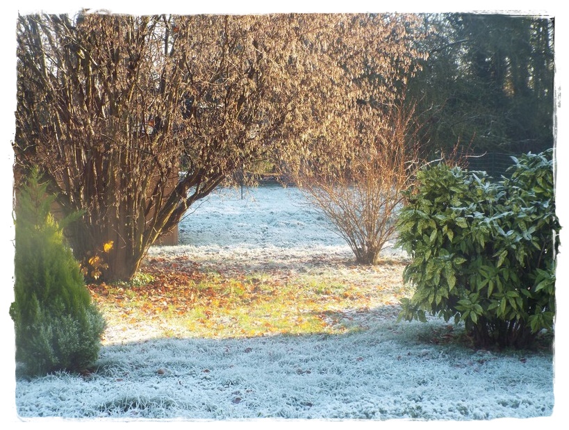 l'hiver nous guette !