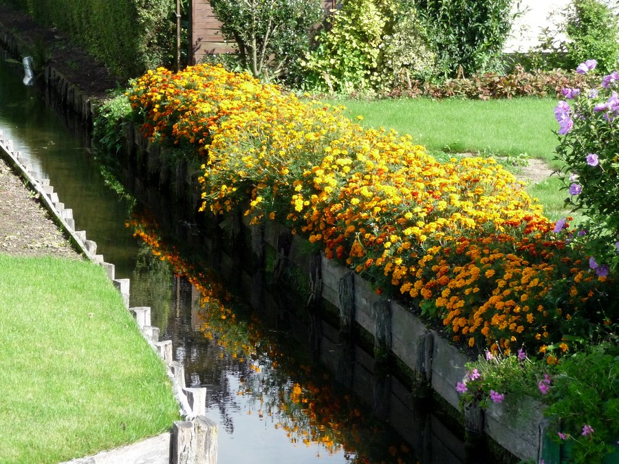 Sur le chemin du halage à Amiens