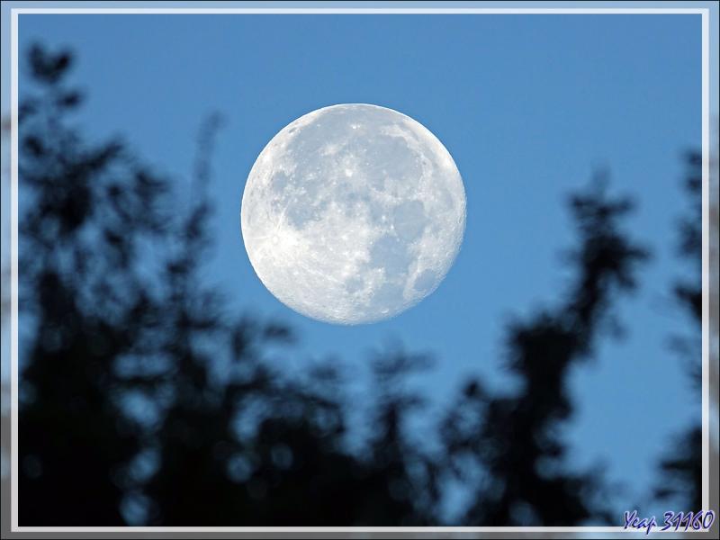 Madame la Lune : en fin de nuit avec irisation d'un nuage puis à son coucher - Lartigau - Milhas - 31