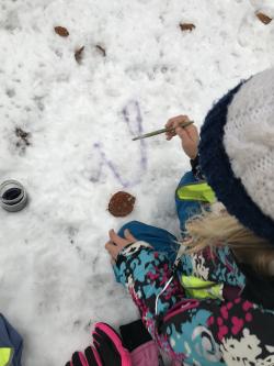 En forêt sous la neige