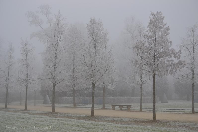 Pollution : de la neige "industrielle" blanchit certaines régions