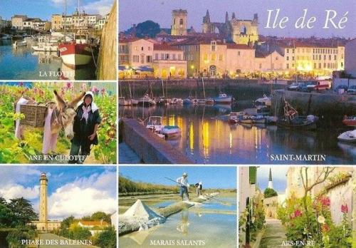 ╰⊱♥⊱╮ღ꧁   17 Charente Maritime  ꧂ღ╭⊱♥≺