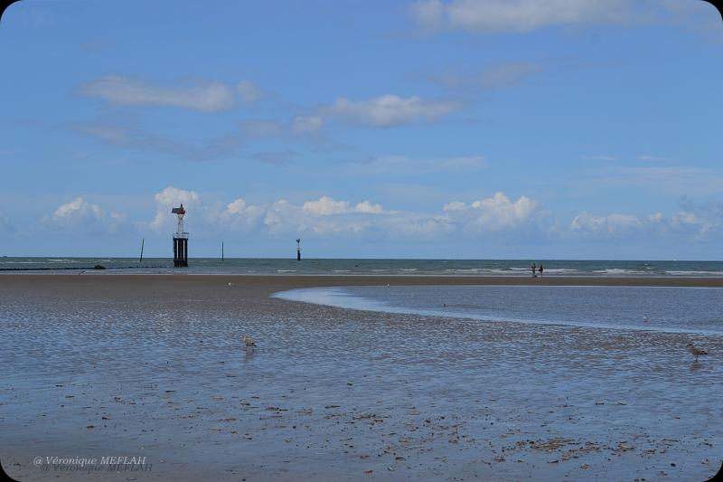 Trouville - Deauville : Portfolio
