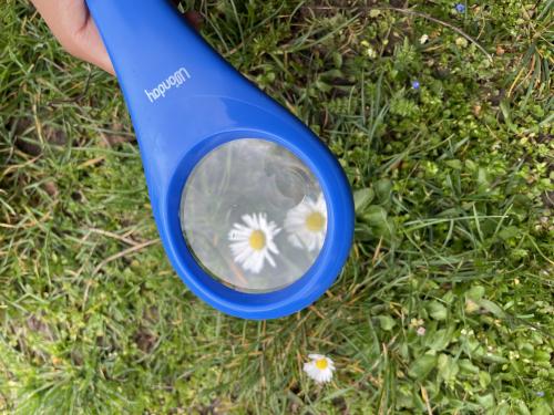 Recherche de fleurs