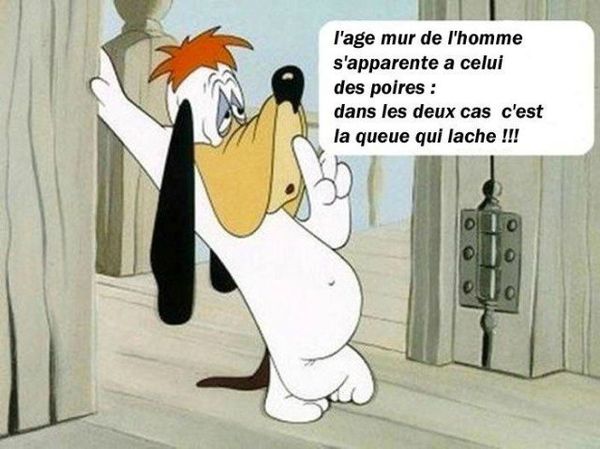 Humour du vendredi ... !!!