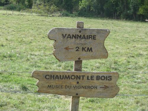 Une belle balade à Chaumont le bois et Vannaire, guidée par Anne Bouhélier