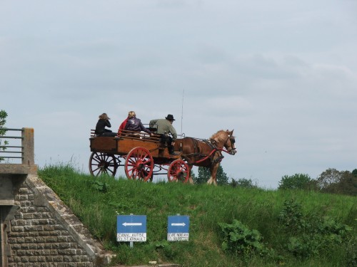 DSCF3607.JPG