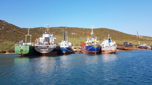 Un article pas drôle du tout !!!