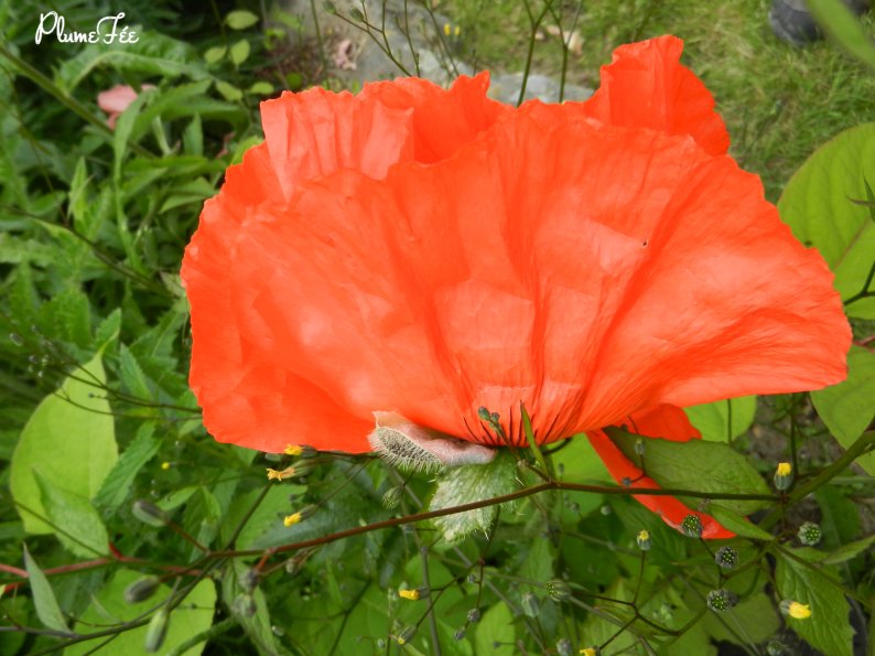 Image011.jpg