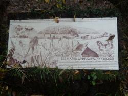 La randonnée du 13 novembre "TSN" de Thury-Harcourt au Vey