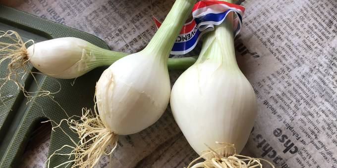 Légumes du mois de Juillet