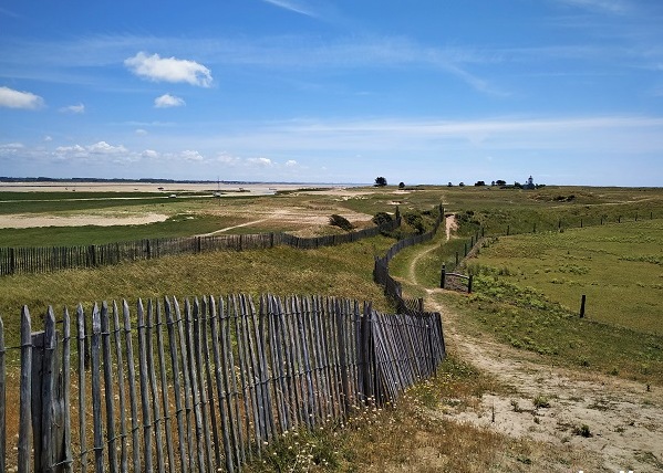 Département de la Manche 2ème partie
