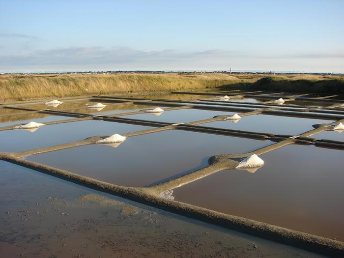 Département de la Loire Atlantique