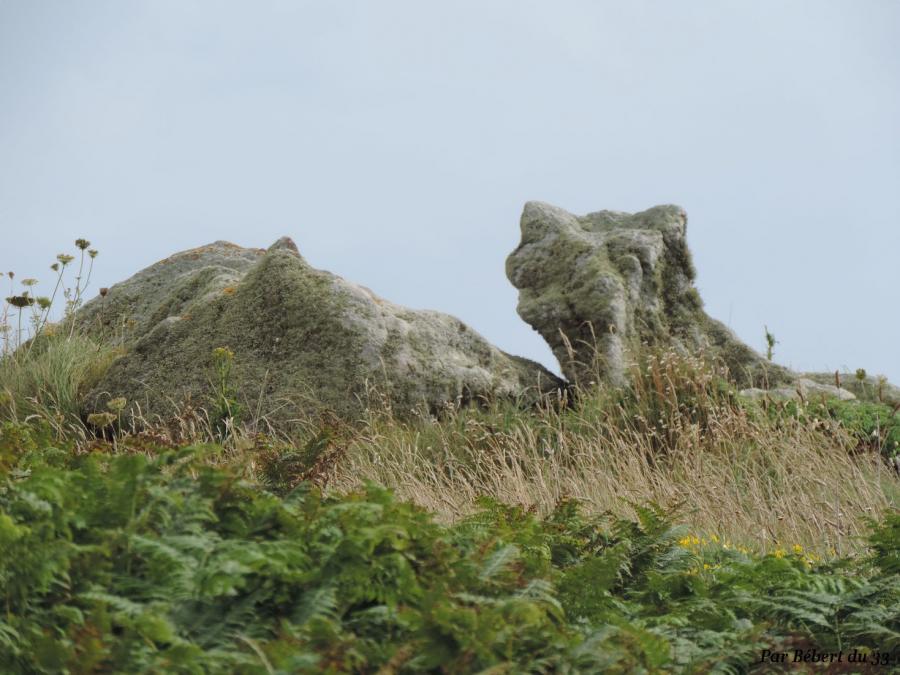 Plouarzel  - Finistère 