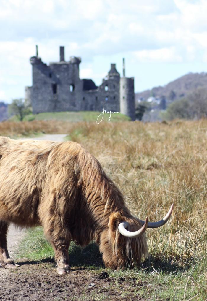 Notre voyage en Ecosse (partie 1)