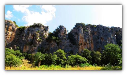 Vallon-Pont-d'Arc