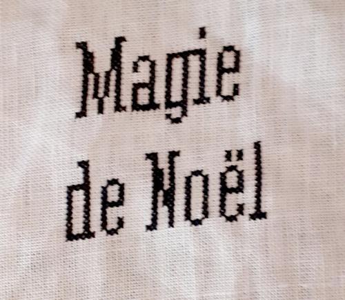 Mes grilles brodées