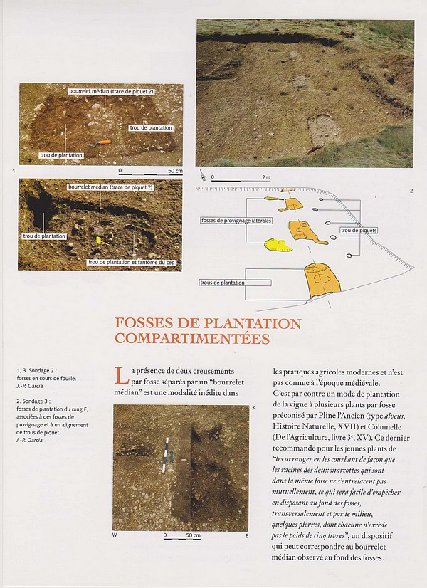 Sébastien Chevrier de L'INRAP, a présenté une conférence sur les origines de la vigne à Gevrey-Chambertin(Côte d'Or)