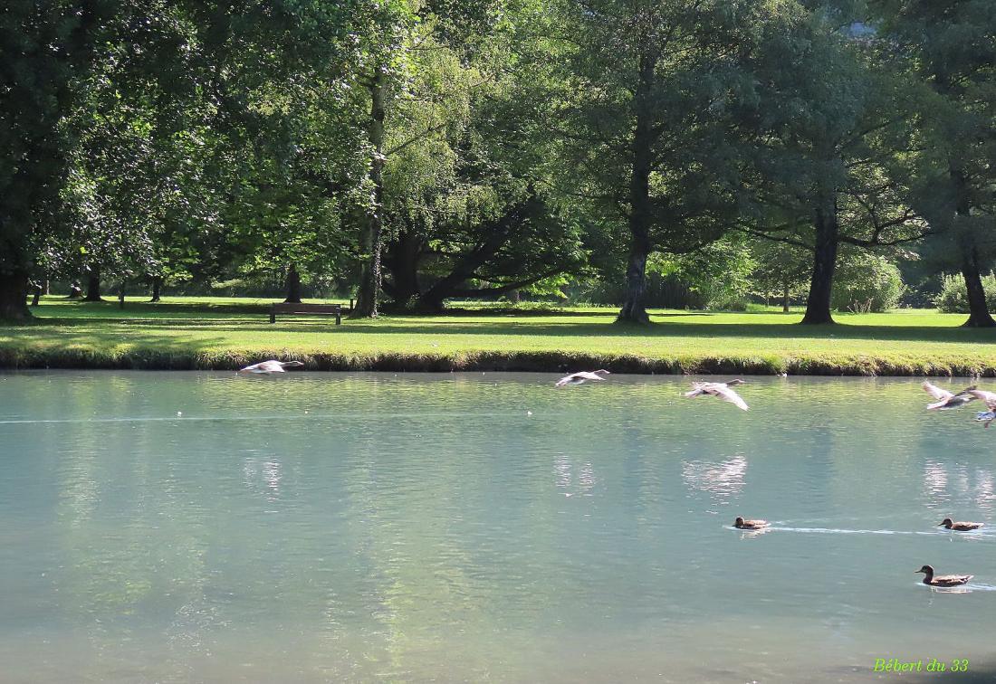 Vizille le château -2