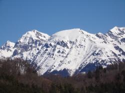 Quoi de neuf en ce début mars