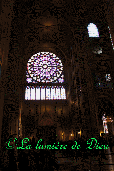 La cathédrale Notre-Dame de Paris