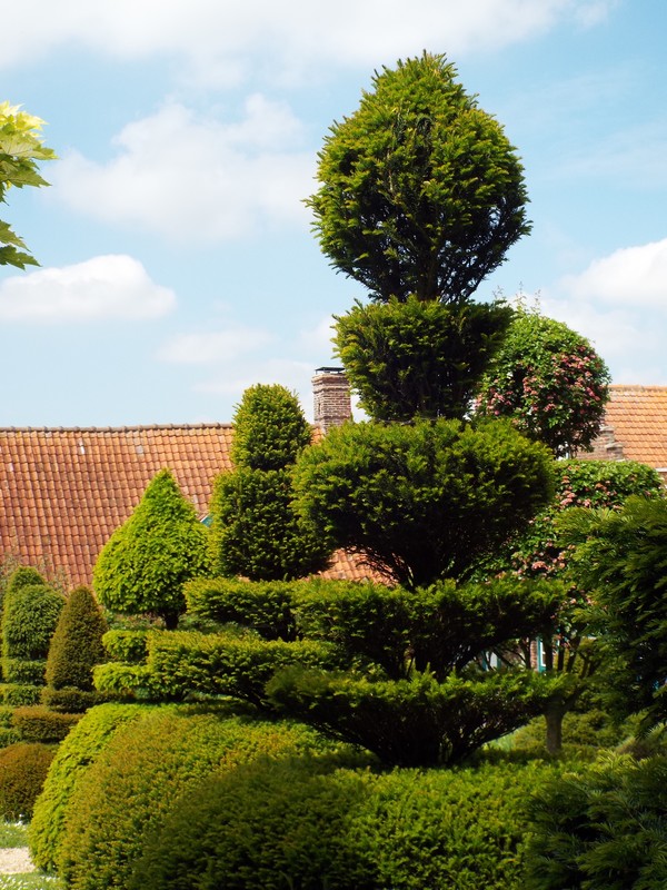Jardin en Flandres ...
