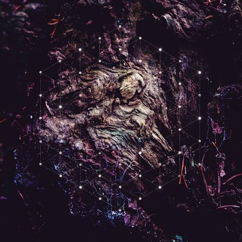 PSYCHONAUT - "The Story Of Your Enslavement" Lyric Video