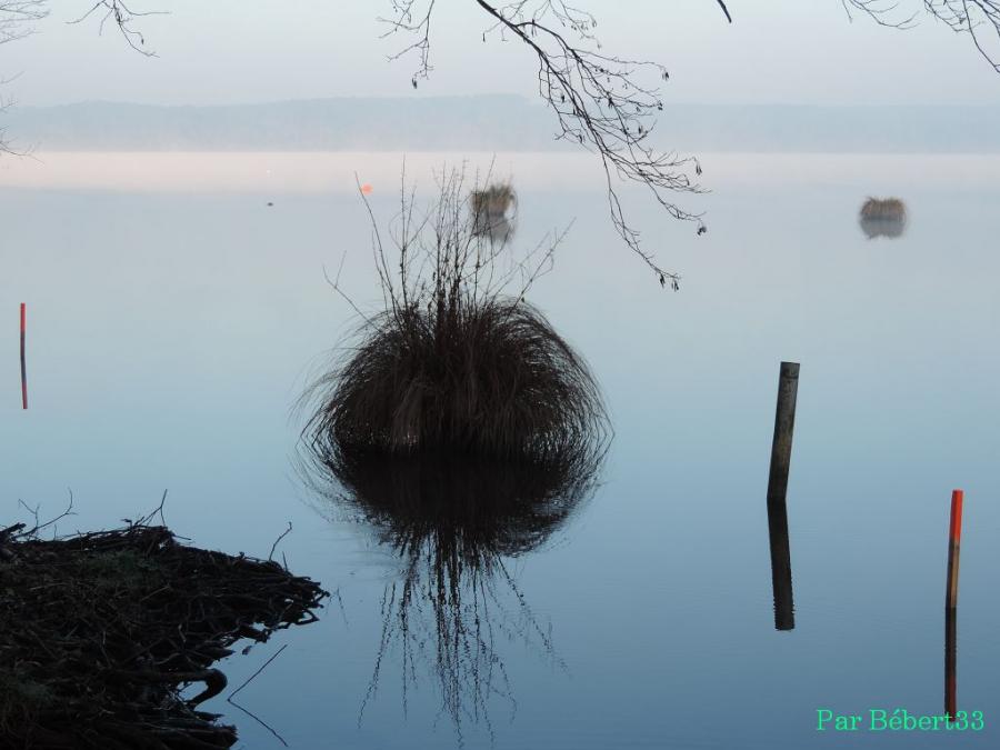 le lac Léon dans les Landes (40)