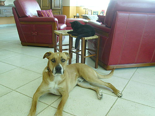 IMGP0049.JPG