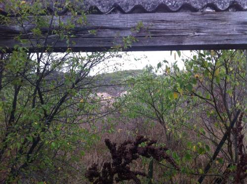 Vomis autoroutier aux portes de Marseille