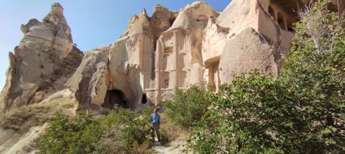 Allons cueillir la Rose !