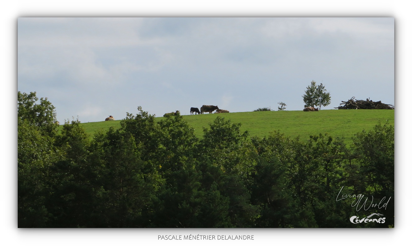 Balade en Vallée Française 2/2