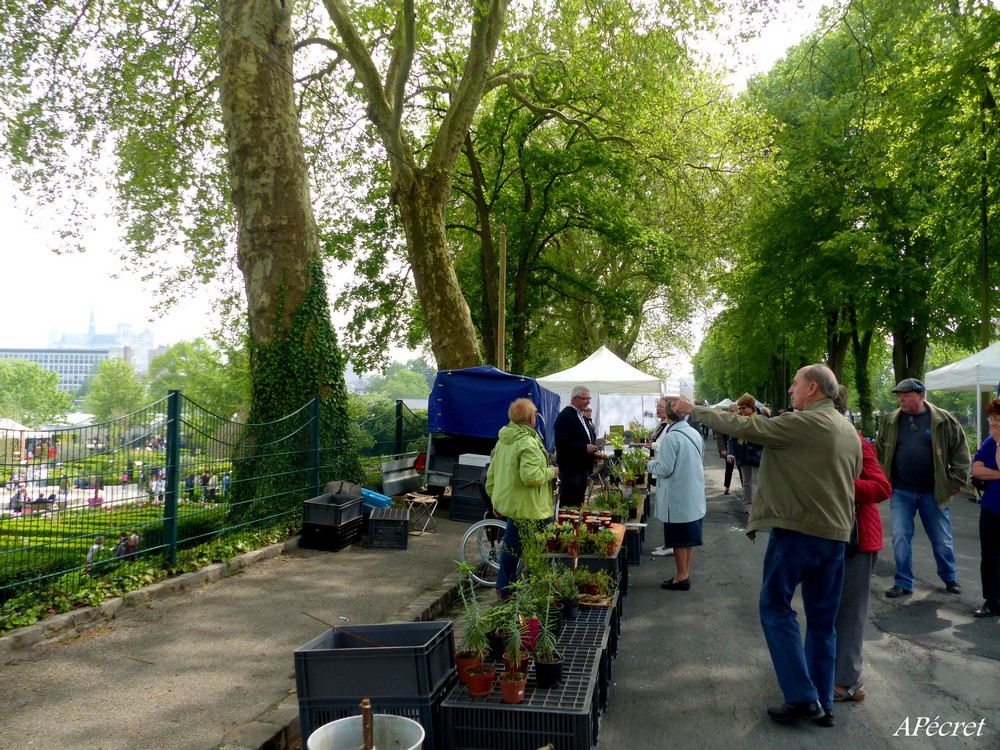 Jardin des Plantes en fête