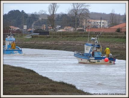 Pêcheurs de civelles au Port du collet - 44 - 2018