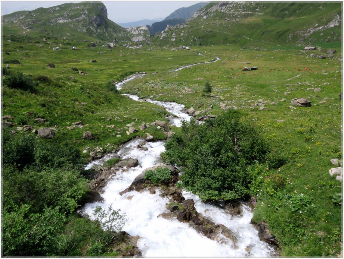 ELLE  DESCEND  DE LA  MONTAGNE ?
