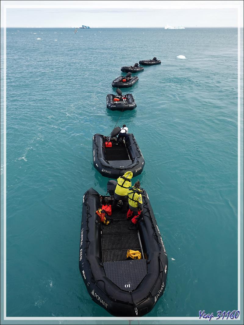 A la queue leu leu : les Zodiacs nous attendent pour nous amener à terre - Devon Island - Nunavut - Canada