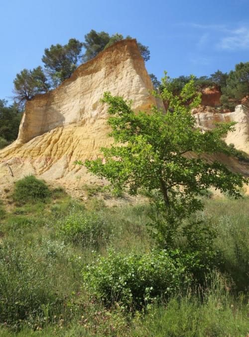 Visite du Colorado Provençal à Rustrel