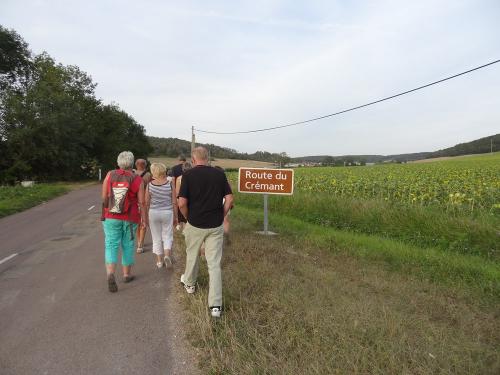Une belle balade à Chaumont le bois et Vannaire, guidée par Anne Bouhélier