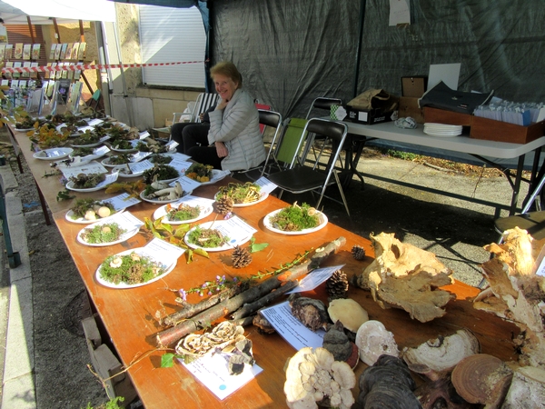 La Fête de la Pomme 2018 à Laignes