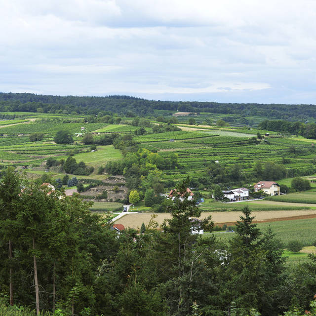 L'Autriche dans l'Europe