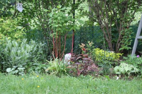 Le printemps est installé